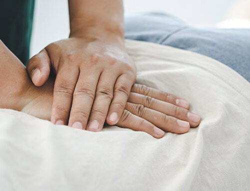 The Connection Between Chiropractic Care and Immune System Health